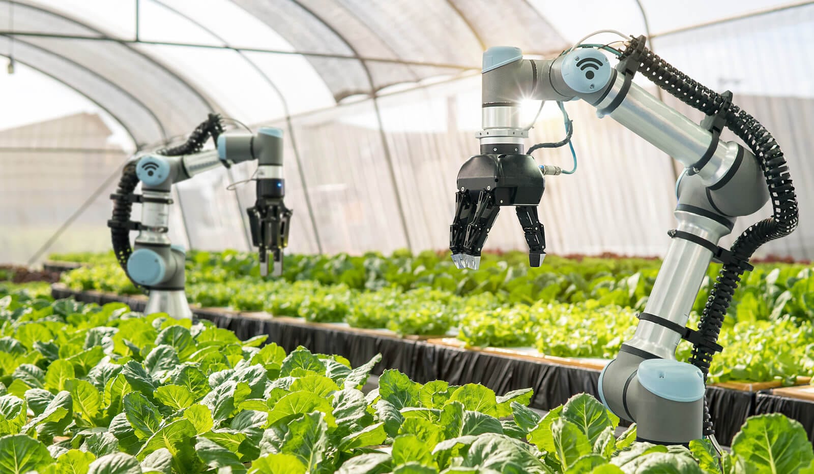 Automatización agrícola